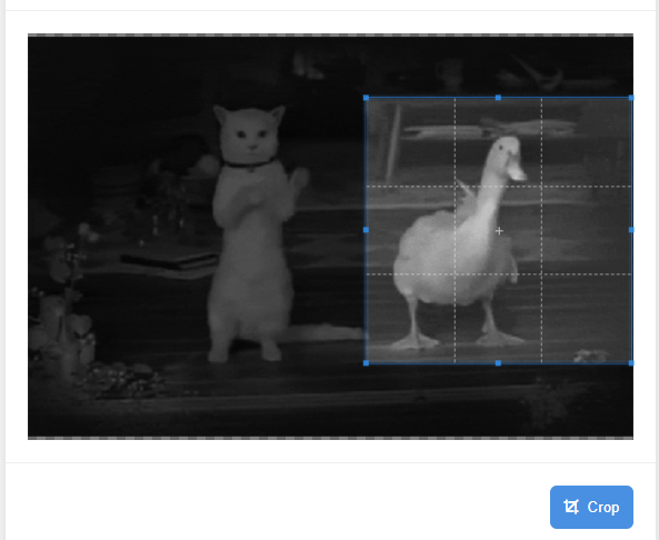 GIF Cropper interface showing crop selection area