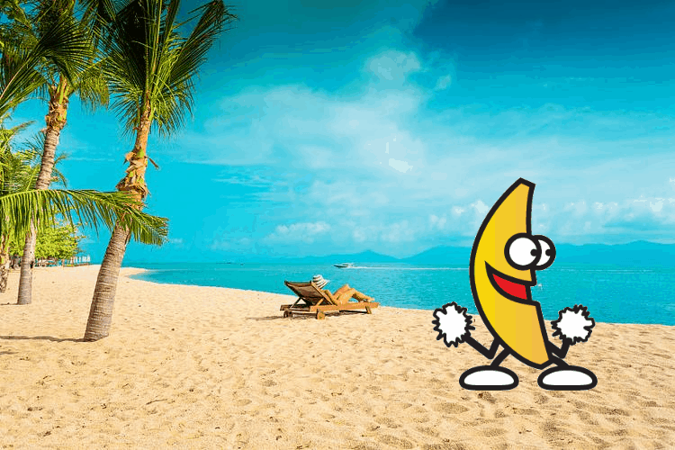 Animated result with a GIF character overlaid on a beach photo