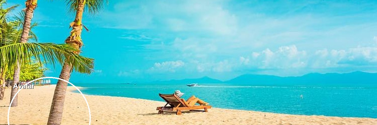 Beach photo cropped to a wide Twitter header with an avatar circle overlapping the lower left