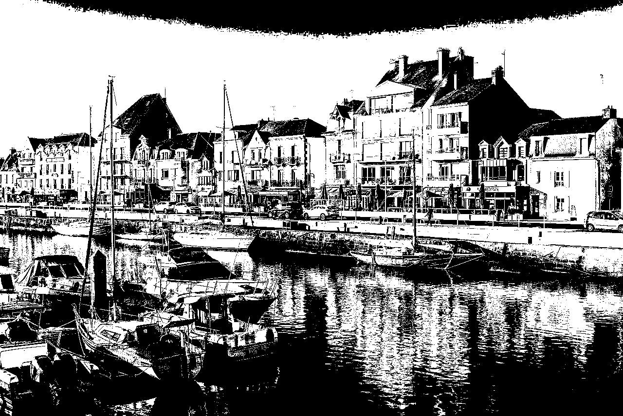 Same photo converted to high contrast binary black and white with no gray tones