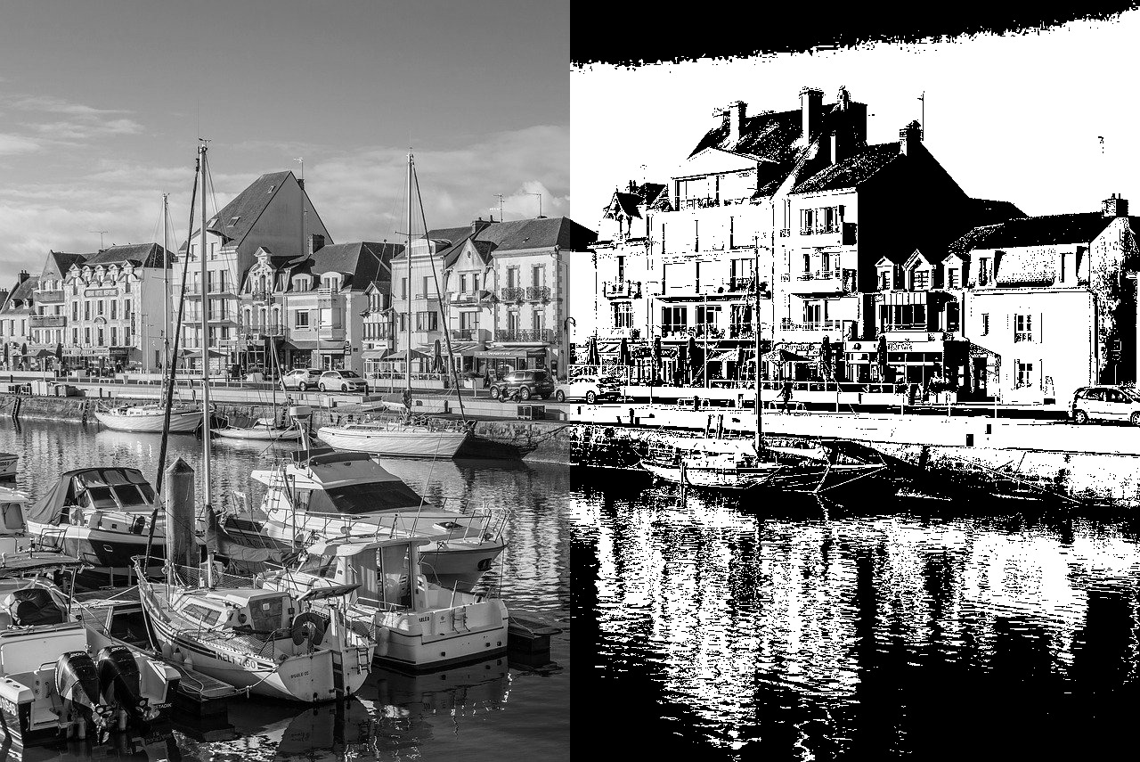 Side by side comparison of grayscale and binary black and white conversion modes