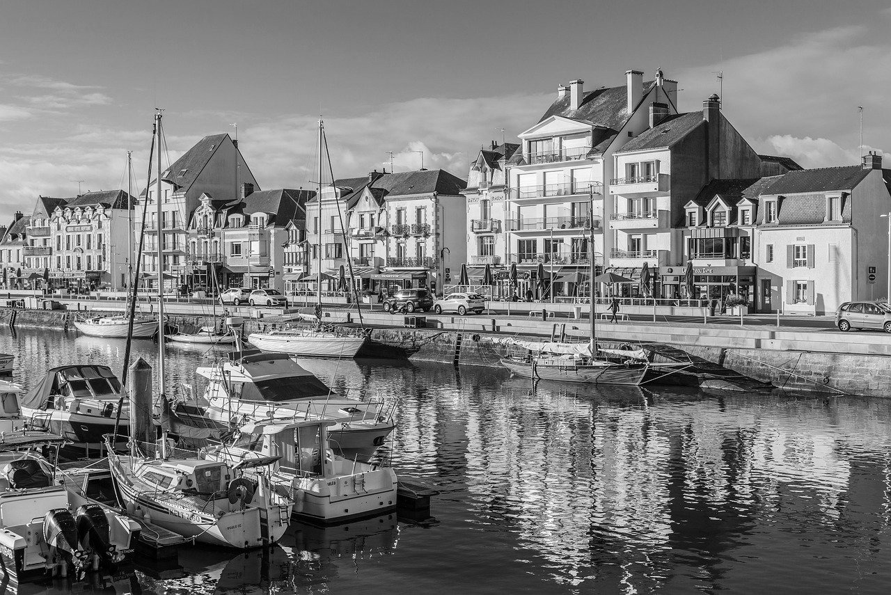 Same photo converted to grayscale black and white with smooth gray tones