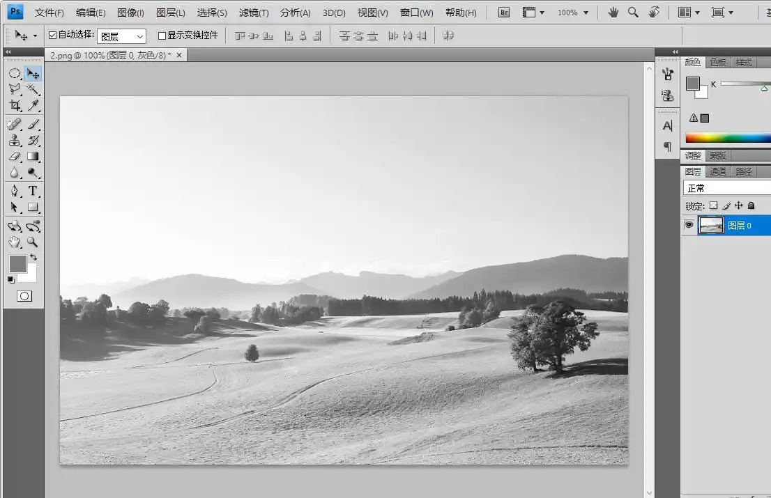 Adobe Photoshop Hue Saturation panel with saturation slider at minus 100 for desaturation